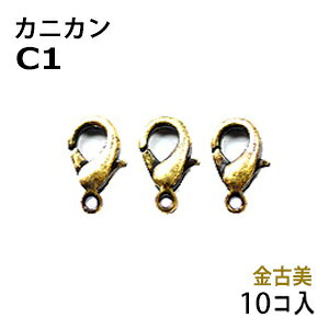 ANZT[p[c  JjJ Ô AeB[NS[h ^CvC1 p10RpbN