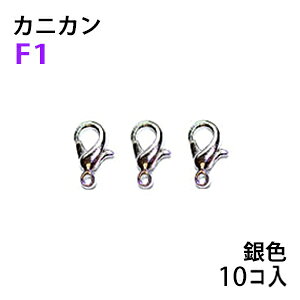 �A�N�Z�T���[�p�[�c ���� ������ �J�j�J�� �^�C�vF1 ��F �V���o�[�J���[ �����p10�R����p�b�N