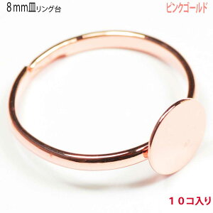 ANZT[p[c  8mmM^Cv O sNS[h 10RT[rXpbN