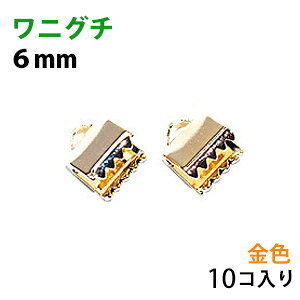 ANZT[p[c  R~ jO` {ߋ 6mm 16KGbL F S[hJ[ 10RT[rXpbN