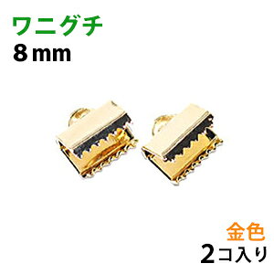 ANZT[p[c  R~ jO` {ߋ 8mm 16KGbL F S[hJ[ 2R