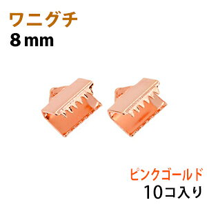 ANZT[p[c  R~ jO` {ߋ 8mm sNS[h 10RT[rXpbN