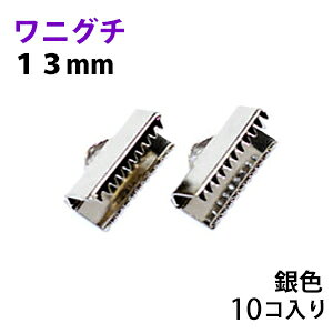 ANZT[p[c  R~ jO` {  13mm F Vo[J[ 10RT[rXpbN