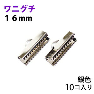 ANZT[p[c  R~ jO` {ߋ 16mm FVo[J[ 10R̃T[rXpbN