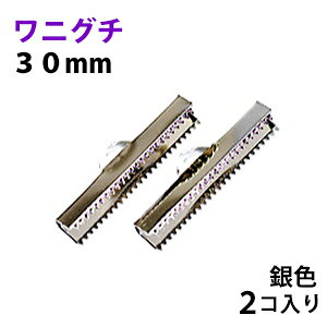 ANZT[p[c  R~ jO` {ߋ 30mm FVo[J[ 2R