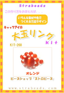 r[YLbg LbcAC̑ʃO IW