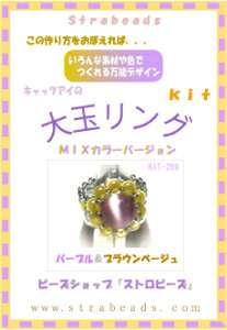 r[YLbg LbcAC̑ʃO p[vuEx[W