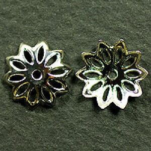  ԍ p[c r[YLbv  LLԂ̍ F Vo[ 10mm 10R UZ40-4-SV