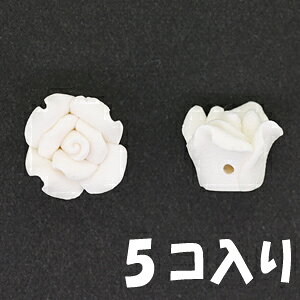 tB [Y p[c 12mm  zCg 5R pT[rXpbN