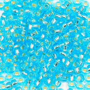 丸大ビーズ アクアインラインS アクアインラインシルバー