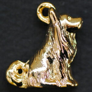 `[ NoA 胏 F S[hJ[ ^`[