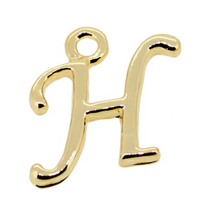 At@xbg CjV `[ H̕ S[hJ[ ^p[c 16KGbL