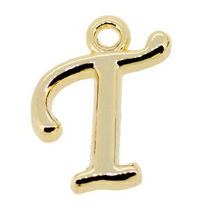 At@xbg CjV `[ T̕ S[hJ[ ^p[c 16KGbL