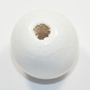 傫ȃEbhr[Y ؐ 15×16mm ی^ F zCg 2R CT033