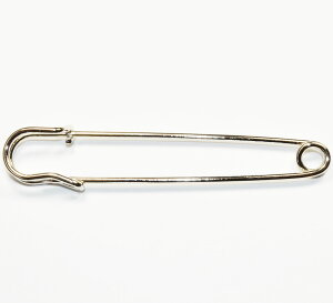 傫ȃu[`s JȂ Ss 100mm F Vo[J[ ANZTp[c  CT140