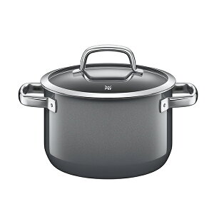 yzWMF t[WebN@nCLZ[20cm@PL