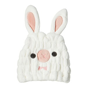 y2160~ȏ㑗zXP[^[ TOC11 zAj}^ILbv 