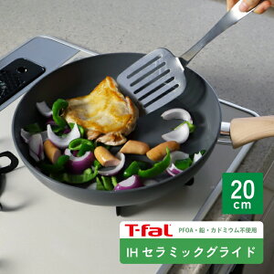 T-fal IHZ~bNOCh A[XO[tCp 20cm C44202 IHΉ KXΑΉ@yZuWp  PFAS PFOA sgp tCp  ix g₷ Vv  킢 l
