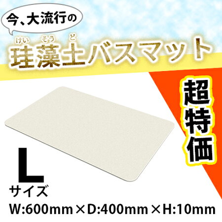 【2160円以上送料無料】超特価!足元さらさら珪藻土バスマットLサイズ