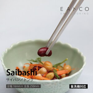 VJ AS0029 EAgCO@Saibashi@TCoVgO CCgRV[Y