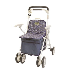 ysz EBY wXobOMB ԕ HBMB-FNB hV̓