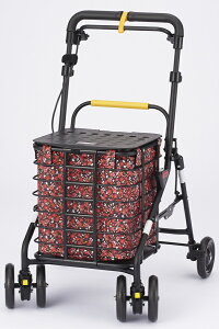 ysz EBY VbsO@xXgp ԕ BP-FW hV̓