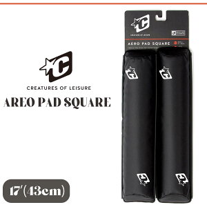 25 CREATURES OF LEISURE NGC`[ LApbh AI pbh XNGA 43cm T[t{[h LA 2{Zbg  ^ J[pi ی AREO PAD SQUARE 17f {Ki