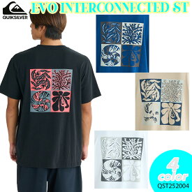 25 QUIKSILVER クイックシルバー Tシャツ EVO INTERCONNECTED ST 半袖 トップス ロゴ サーフィン メンズ 2025年春夏 品番 QST252004 日本正規品