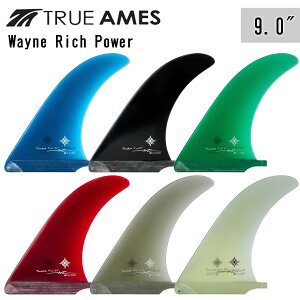 TRUE AMES gD[AX tB Wayne Rich Power 9.0" EFC b` p[ O{[h Z^[tB VOtB T[t{[h T[tB {Ki
