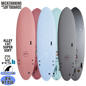 y9/4`9/10Gg[P10{z25 ~bNt@jO\tg{[h ALLEY CAT SUPERSOFT A[LbgX[p[\tg 8f6 FCS2 T[t{[h 2025N {Ki
