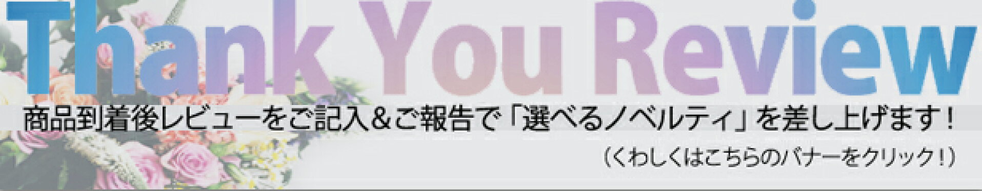 レビューキャンペーン