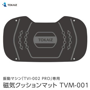 TOKAIZ U}VTVI-002 PROpCNbV}bg