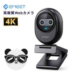 |Cg10{IEFuJ WEBJ 4K fAJ AI I[gtH[JX O mCYLZO }CN 3ނ̏W[h USB-C to C/Aڑ CuzMRecɍœK 