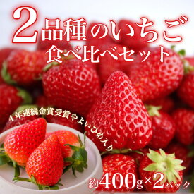 いちご2品種【おすすめ食べ比べセット】Wスーパーデラックス　いちご　お歳暮　お年賀　贈り物　お取り寄せ　お土産　法事　お見舞い　ギフトセット