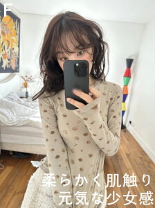 ���i�摜
