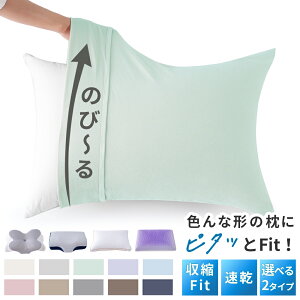 yő99%OFFIGg[Ń|Cg5{z Jo[ Lт 43×63cm Jo[ 傫 ̂т̂іJo[ s[P[X ܂Jo[̂т̂  Lbv ^Cv ᔽp EȒP I[V