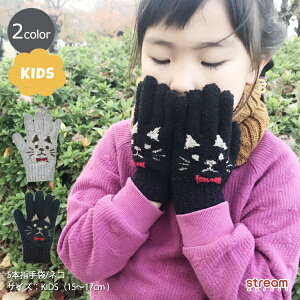 y䂤pPbg33z LbY j̎q ̎q g 5{w lR { O[u WjA N ~ q 킢  h 15-17cm Mtg v[g NX}X a