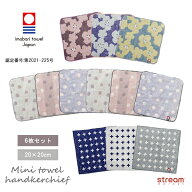 【ゆうパケット送料無料99】タオルハンカチ セット レディース メンズ 20×20 子供 ハンカチタオル 6枚組…