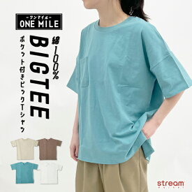 【ゆうパケット1点まで可】Tシャツ レディース 半袖 大きいサイズ ゆったり 綿100% ビッグT ポケット付 ビックシルエット 大きめ カジュアル シンプル 無地 ドロップショルダー 華奢見え 体系カバー 大きめサイズ