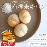 【マラソン限定！食パンプレゼント】ヴィーガン＆グルテンフリー オーガニック 有機 米粉 パン 70g×10個…