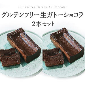 グルテンフリー お菓子 生 ガトーショコラ 2本セット 無添加 保存料 着色料 濃厚 オーガニック 有機 お中元 お取り寄せ チョコケーキ スイーツ ケーキ お酒に合う テリーヌショコラ テリーヌ