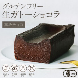 グルテンフリー お菓子 生 ガトーショコラ 濃厚 オーガニック 有機 お取り寄せ バレンタイン チョコケーキ チョコレートケーキ ギフト スイーツ ケーキ お酒に合う テリーヌショコラ テリーヌ チョコ バレンタイン 内祝い 誕生日 ヘルシー ギフト人気 しっとり