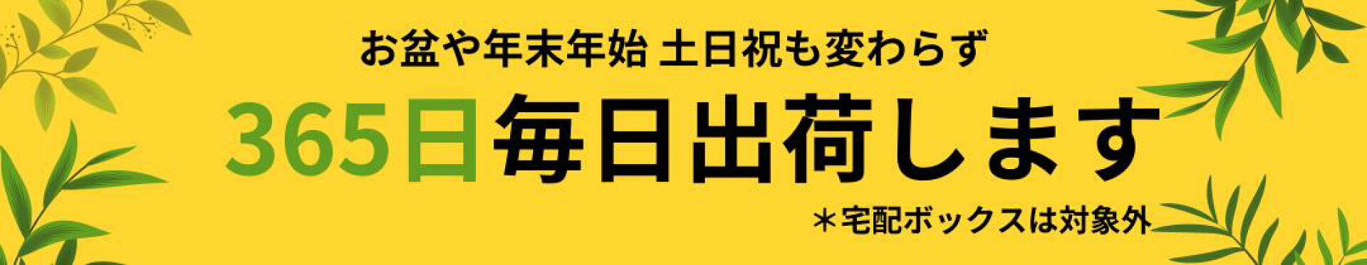 あす楽 毎日発送中