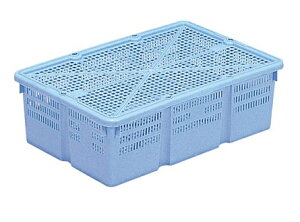 JS 4K|4|TSkCAlABA͕ʓr|܂yyjzsz