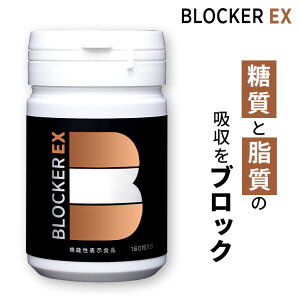 yTVAE񂰂񓤁ELgTzTvgzBLOCKER EX ubJ[C[GbNX[@\\Hi]  Y STRONG BLOCKER2000 XgO ubJ[ j[A  