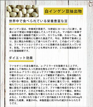 ��A031�ۡ�����̵�����ݥ����10�ܡۥ������åȥ��ݡ��ȥ��ץ�STRONG���ȥ��󥰥֥��å���2000���ץ���ȥ������å�