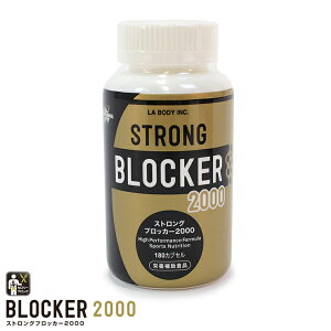 ��STRONG�ۥ��ȥ��󥰥֥��å���2000