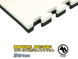 }[V[h o[VuWCg}bg4.0cm JM41 iZ  ؃g tBbglX strongsports