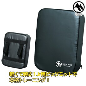【MW】マーシャルワールド フラットミットBM50 黒 格闘技 用品 空手 ボクシング ミット キックミット パンチングミット strongsports