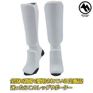 }[V[h bOT|[^[ LG40  T|[^[ iZ pi